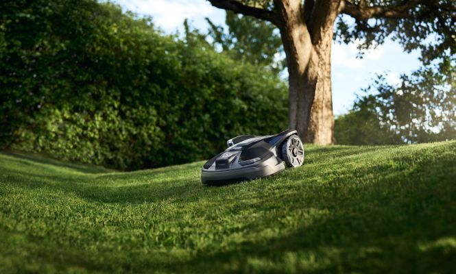 Privater Mähroboter im Einsatz im Garten – automatische Rasenpflege für Hausgärten mit moderner Gartentechnik.
