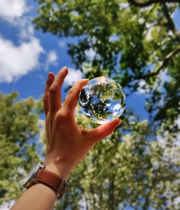 Hand hält eine Glaskugel mit Spiegelung von Bäumen und Himmel – Symbol für Nachhaltigkeit und verantwortungsvolles Handeln.